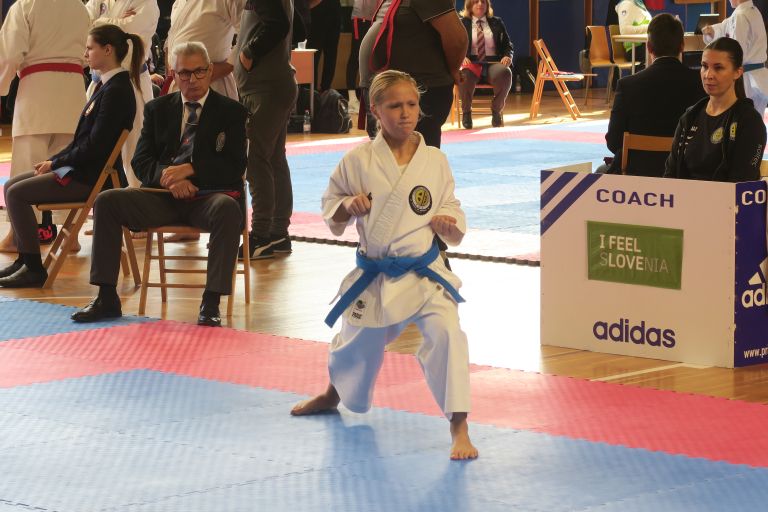 kk-soltec-brezice