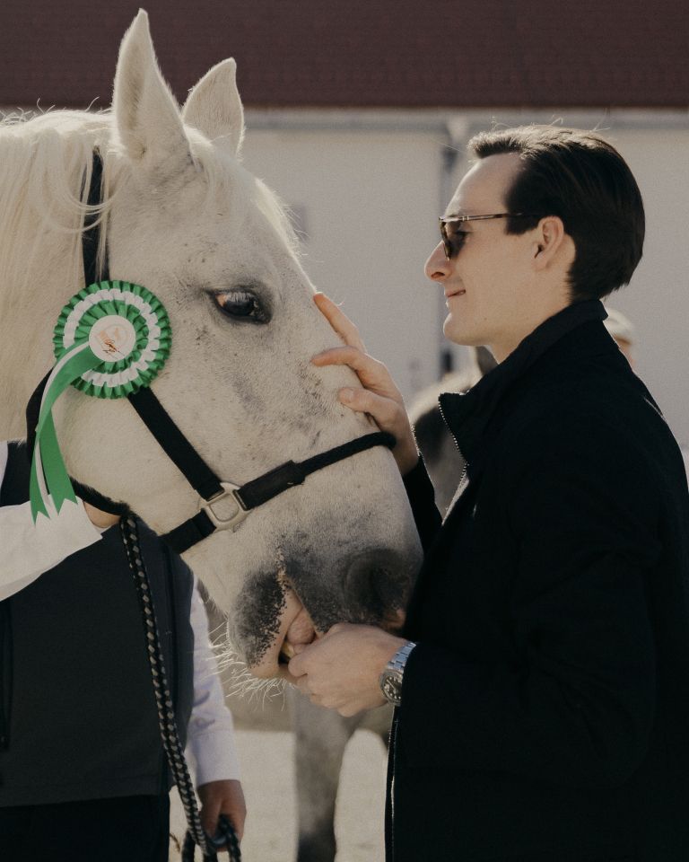 Domen Prevc, boter lipicanca 2