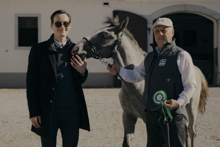 Domen Prevc, boter lipicanca 3