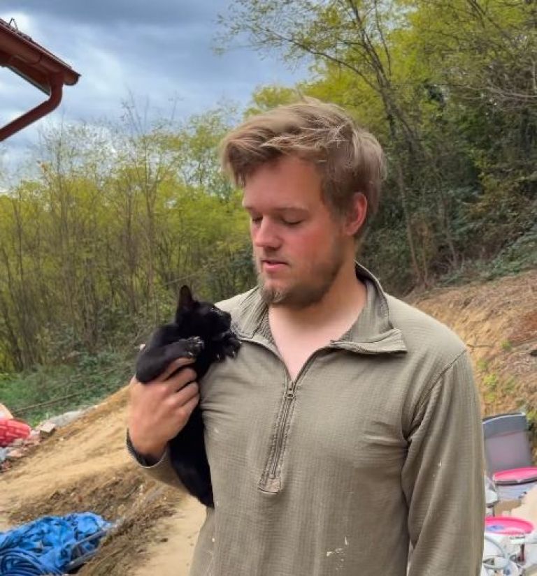 amerikanac, maček.jpg