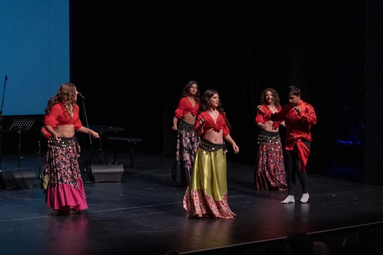 društvo-romani-union-murska-sobota