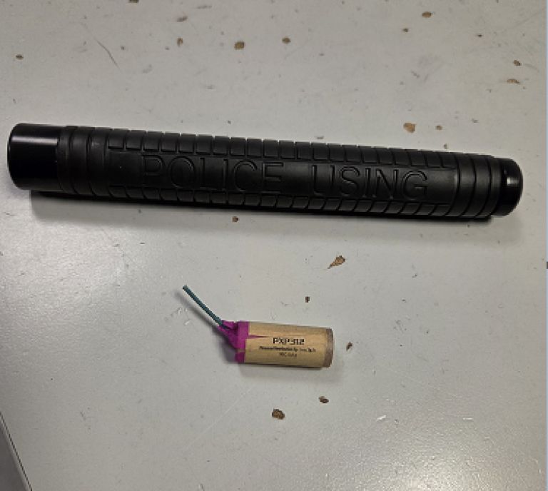 protestni-shod-novo-mesto-2025