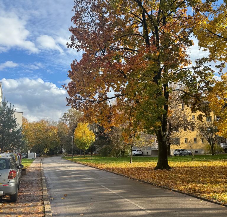 Malgajeva ulica - Na Otoku v Celju