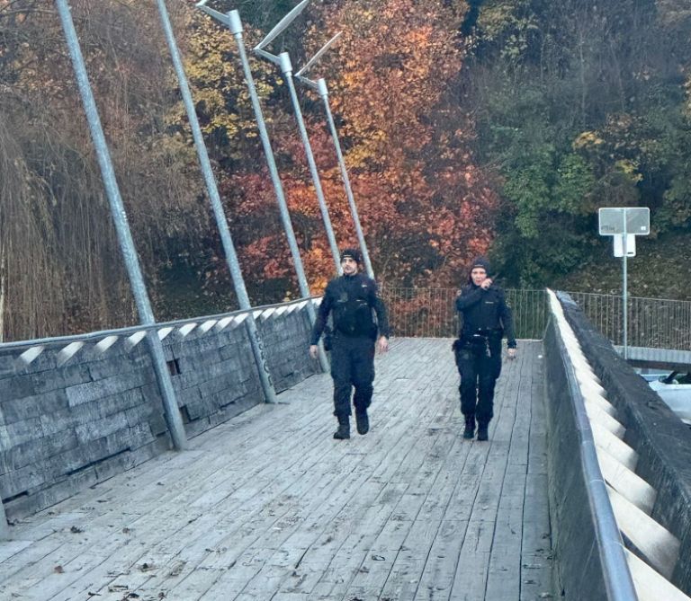 policija, patrulje, novo-mesto