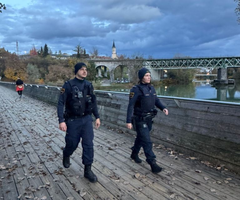policija, patrulje, novo-mesto