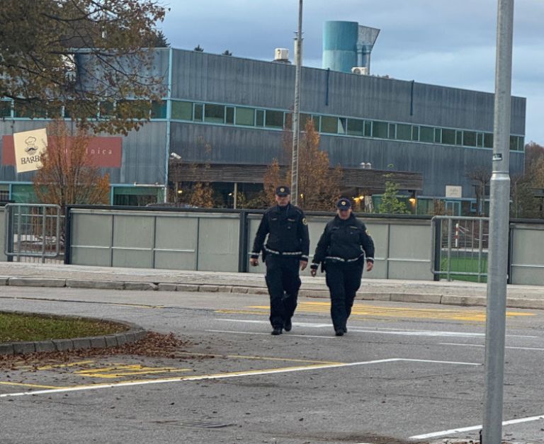 policija, patrulje, novo-mesto
