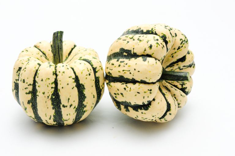 preverjeno - sweet dumpling.jpg