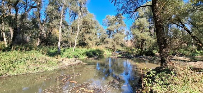 obnova-recnih-rokavov-na-reki-muri