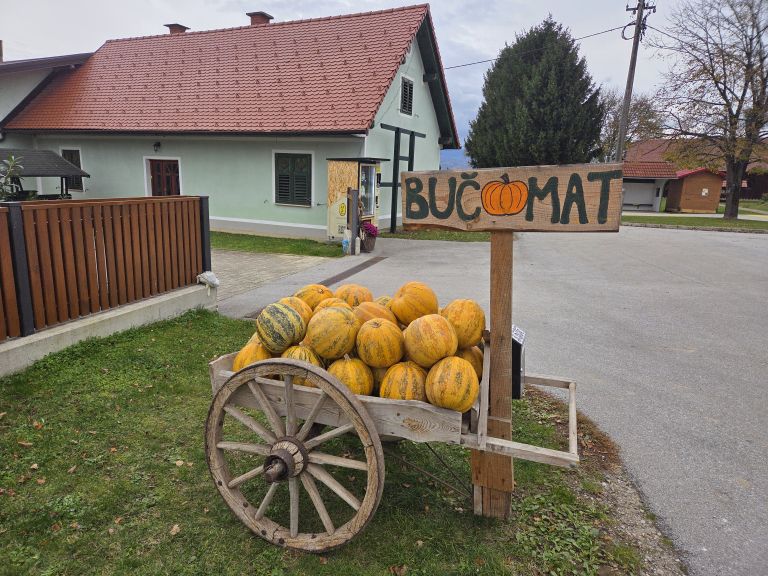 EK_buce starosinci.jpg