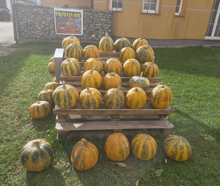 EK_buce starosinci 1.jpg