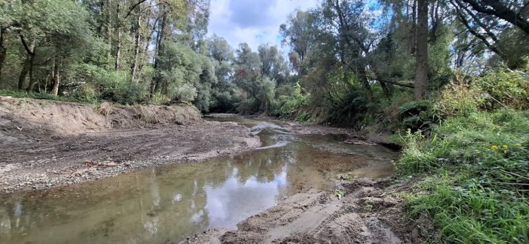 obnova-recnih-rokavov-na-reki-muri