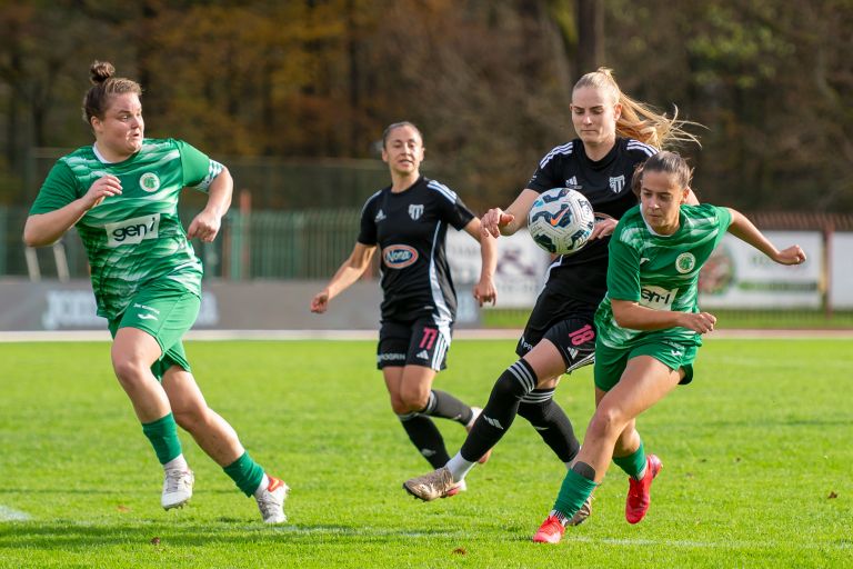 sznl, 12-krog, znk-olimpija-ljubljana, kodeljevo, znk-mura-nona