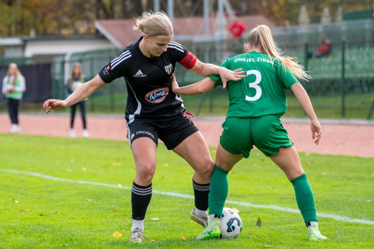 sznl, 12-krog, znk-olimpija-ljubljana, kodeljevo, znk-mura-nona