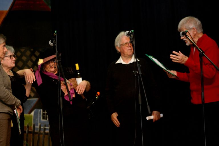 praznik-obcine-brezice, tradicionalna-prireditev-dobova-se-predstavi-2025