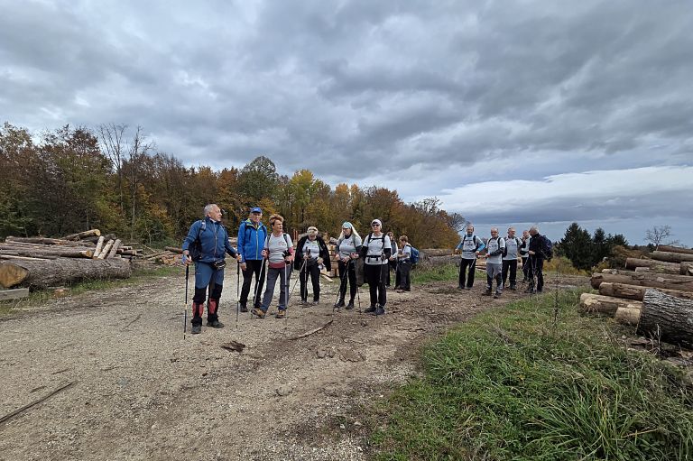 pohod, upokojenci, du-dolenjske-toplice, trdinova-pot