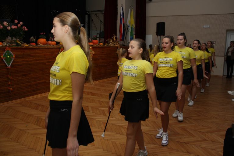 praznik-obcine-brezice, tradicionalna-prireditev-dobova-se-predstavi-2025