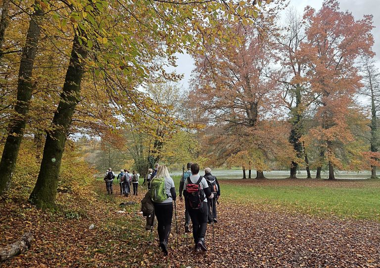 pohod, upokojenci, du-dolenjske-toplice, trdinova-pot