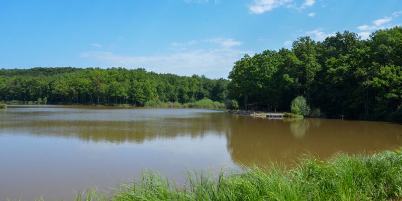 Bukovniško jezero