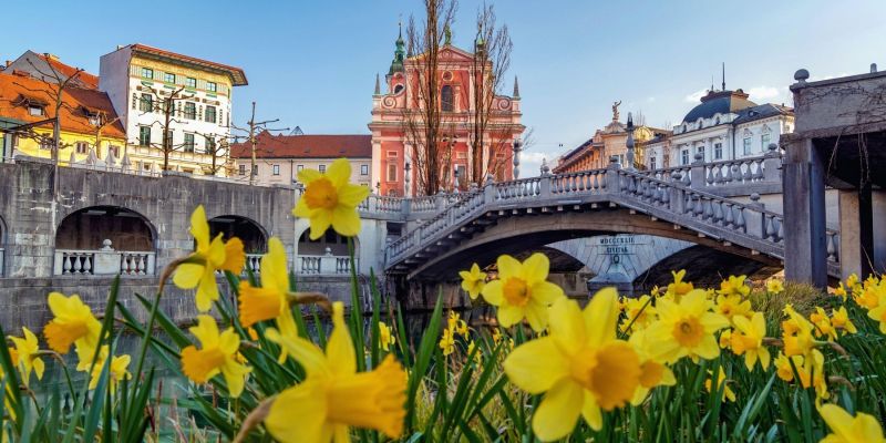 pomlad, tromostovje, ljubljana