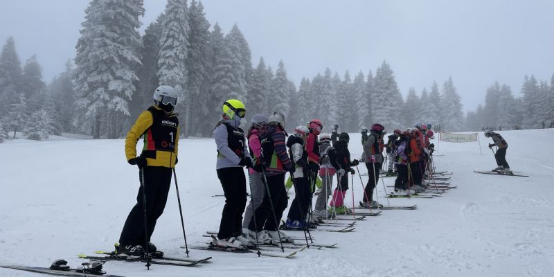 _zzrogla__00_.jpg