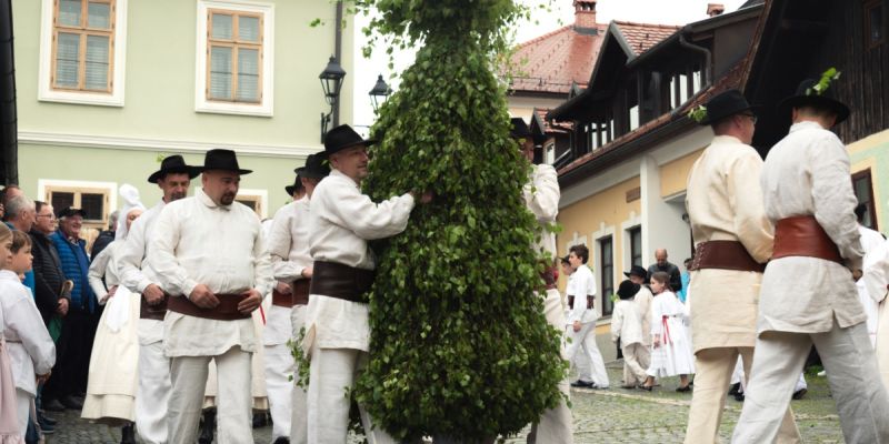 mladi_bosonogi_jurij_se_skriva_pod_snopom_brezovih_vej.jpg