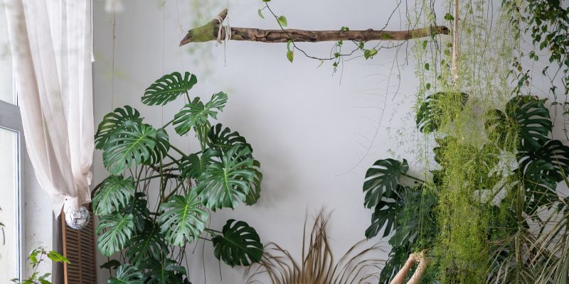 TM naslovna-nov22.jpg