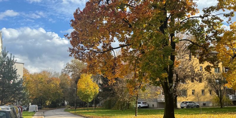 Malgajeva ulica - Na Otoku v Celju