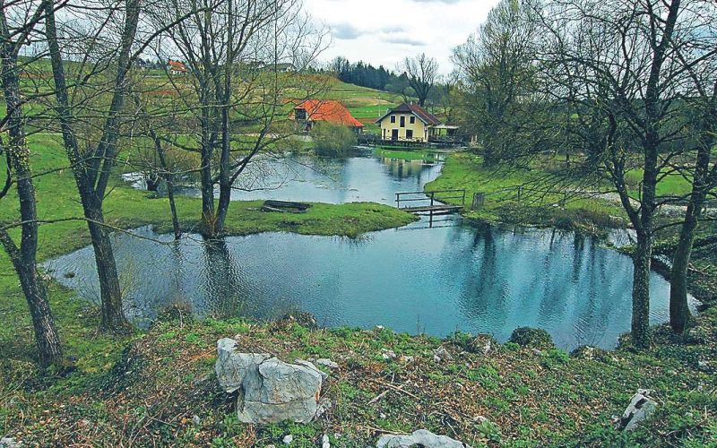 izvir_jelsevnik.jpg