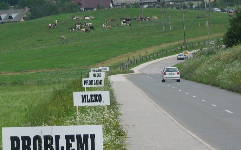 problemi_mleko_jpg.jpg