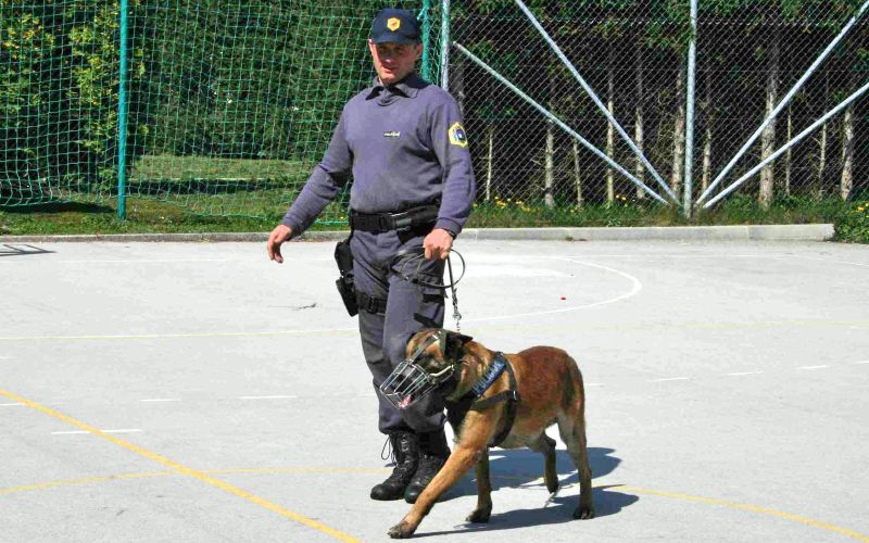 policijski_pes_z_vodnikom.jpg