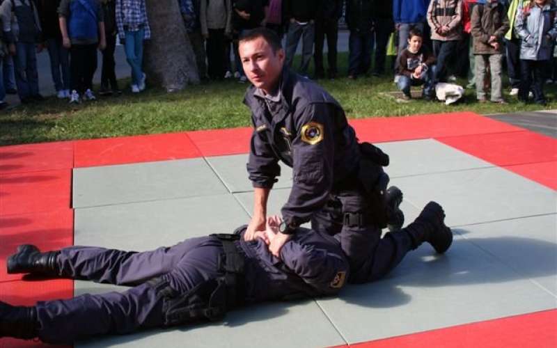 policija_arest_arhiv_tjg.jpg