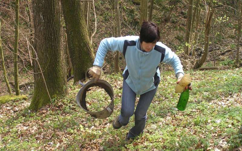 cistilna_sevnica_v_gozdovih.jpg