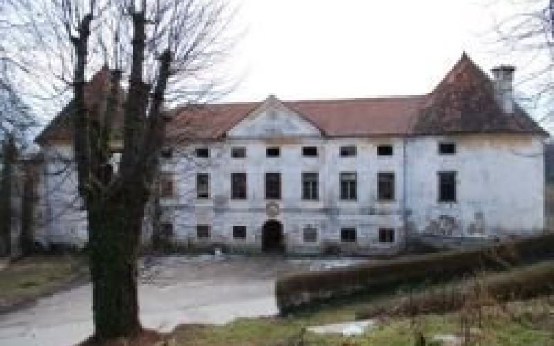 grad_leskovec1.jpg