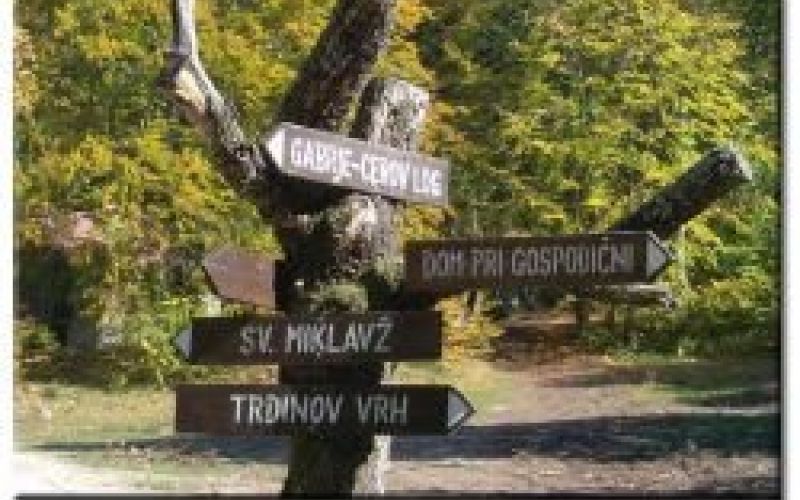 trdinova_pot.jpg