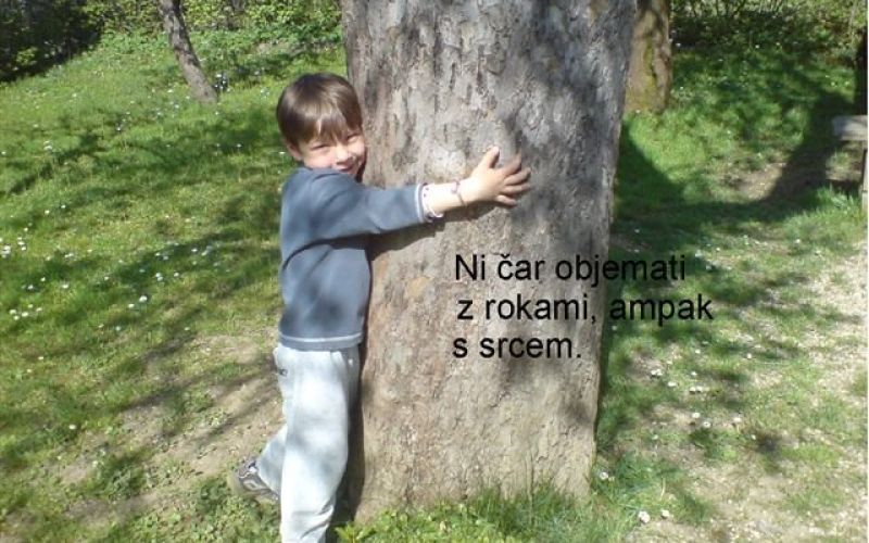 alja___trbenc_o___grm.jpg