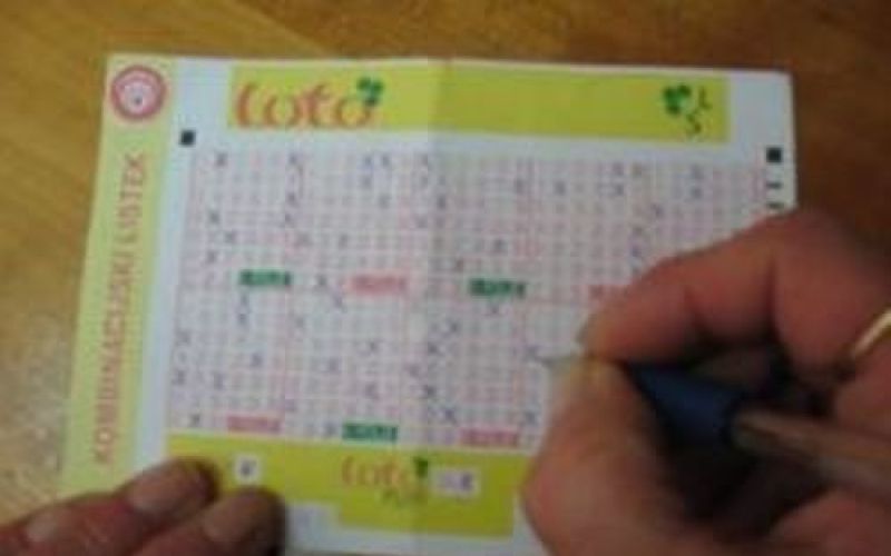 loto.jpg