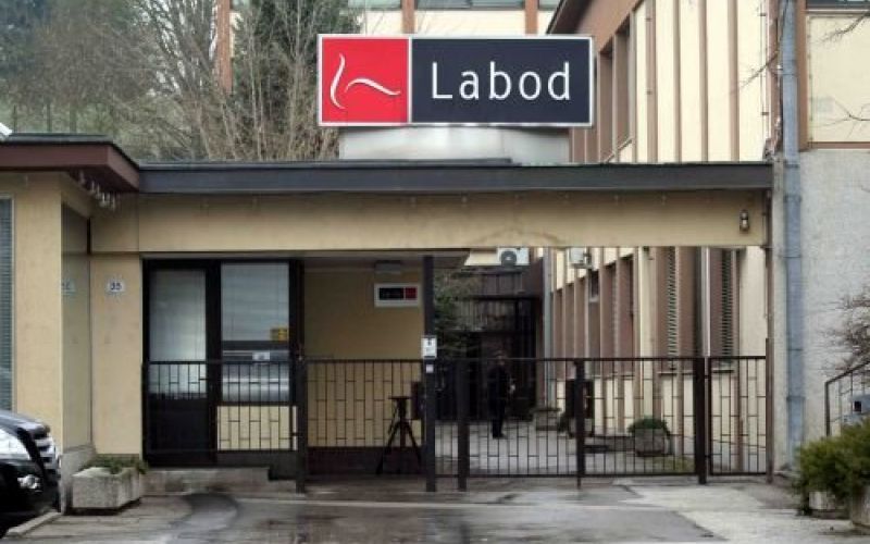 labod.jpg