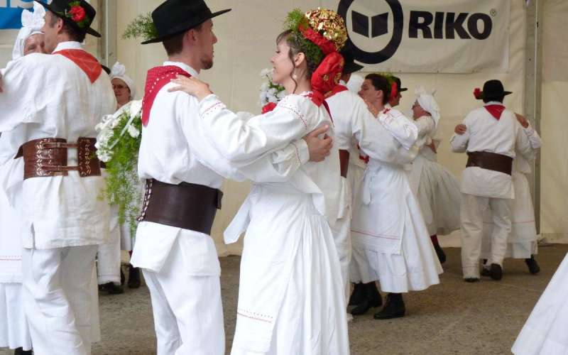 p1150255_1_1_000.jpg