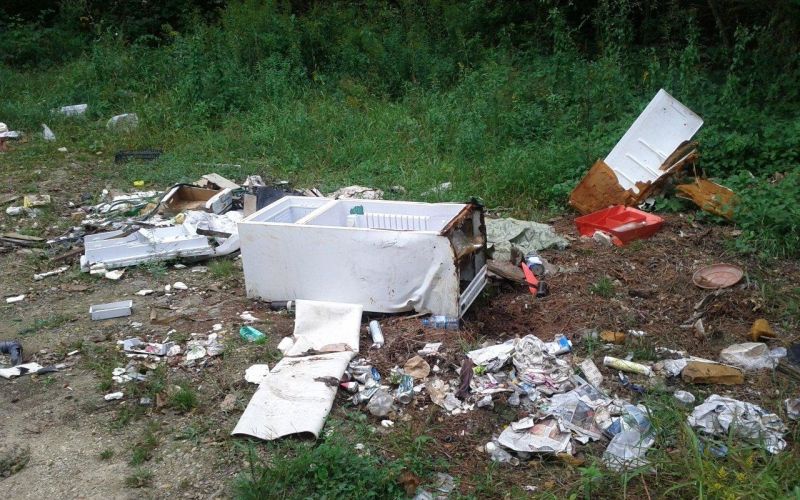 bizeljska_sramota_01.jpg