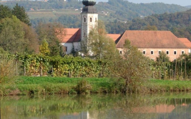kostanjevica_rotat.jpg