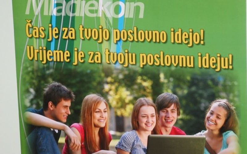 mladiekoin.jpg