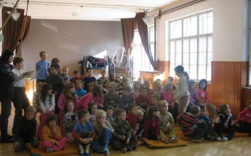 mali_slatnik_sola.jpg