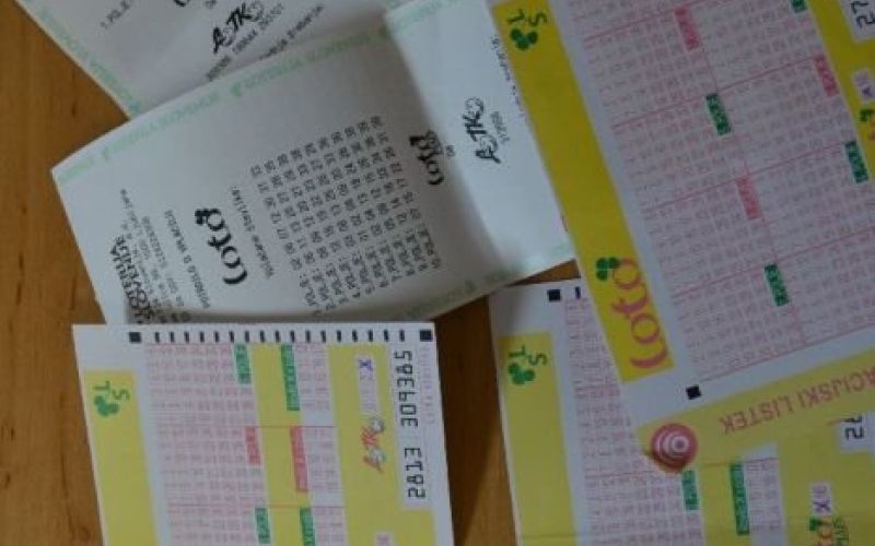 loto_tjg.jpg