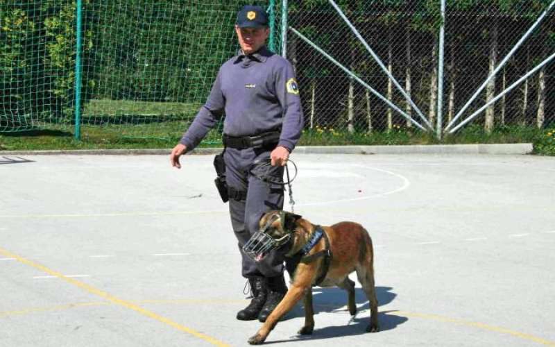 policijski_pes_z_vodnikom_pp.jpg