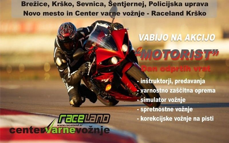 motorist.jpg
