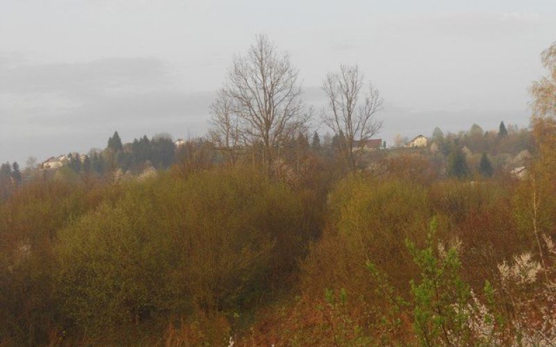 dscn2056_000.jpg