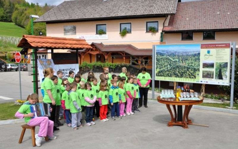 obcinska_lipa_201201.jpg