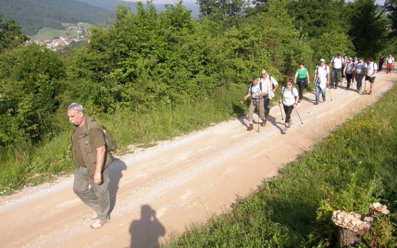 zsc_zbk_20120603_01.jpg