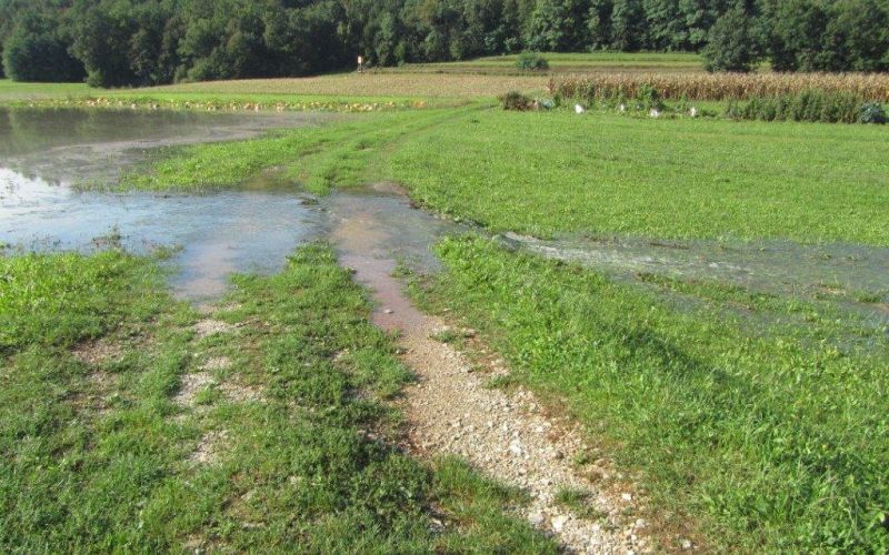 poplave_2012_001.jpg