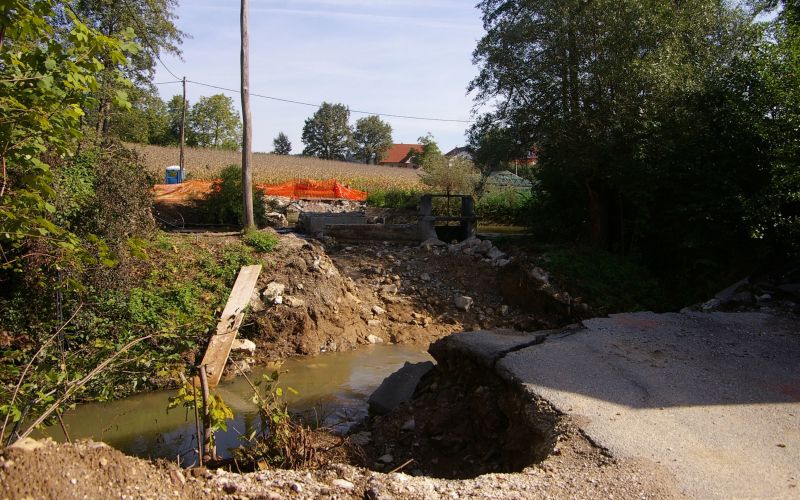 grmovlje001.jpg